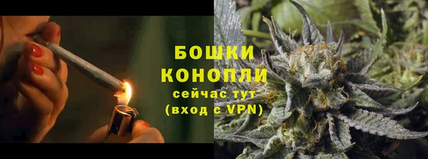 крисы Белокуриха